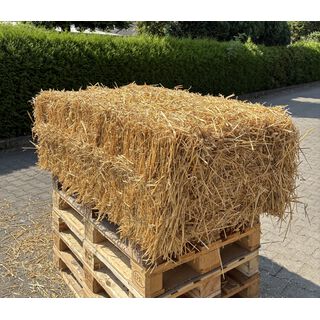 Weizenfutterstroh - mittlere Ballen - Einzeln