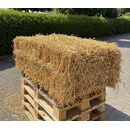 Weizenfutterstroh - mittlere Ballen - Einzeln