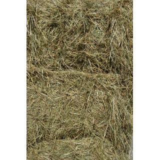 Heu Ww.- Quaderballen ca. 125 kg