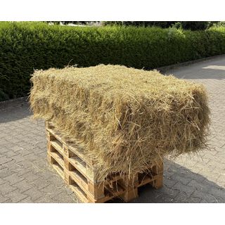 Westerwaldheu - Quaderballen - Einzeln