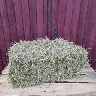 Kruterheu in kleinen Ballen