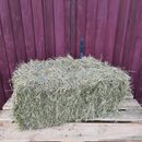 Kruterheu in kleinen Ballen