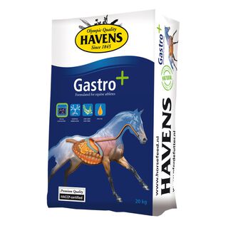Gastro+ - 20 kg Sack