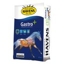 Gastro+ - 20 kg Sack