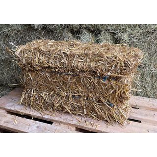 Futterstroh - kleine Ballen - Einzeln