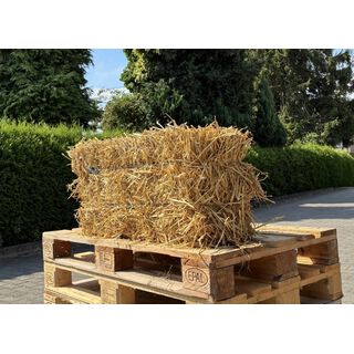 Weizenfutterstroh - kleine Ballen - Einzeln