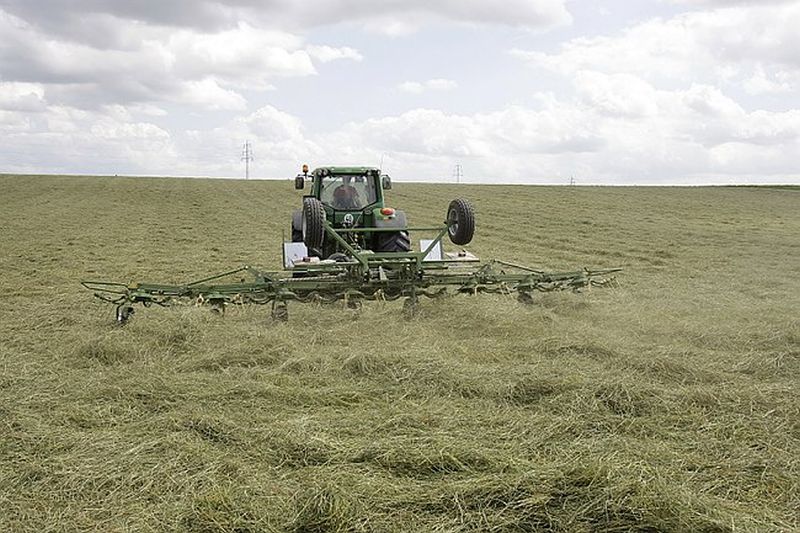 Traktor beim schwaden